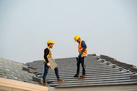 Roof Moss and Algae Removal in Monticello, MN